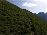 Lienzer Dolomitenhütte - Große Gamswiesenspitze